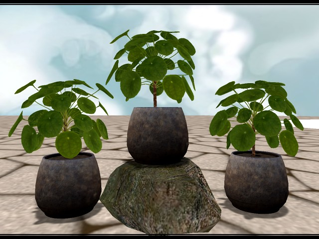 [AE] Home & Garden - House Plant Pilea