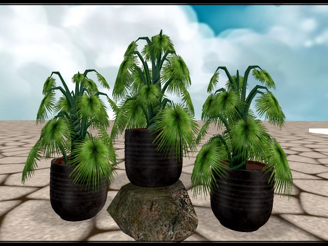 [AE] Home & Garden - Small Palm *SALE*