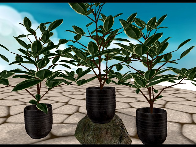 [AE] Home & Garden - House Plant - Sully