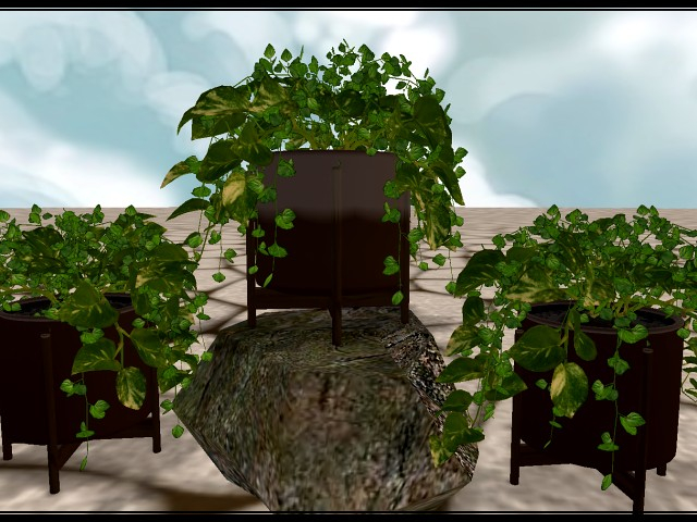 [AE] Home & Garden - House Plant - Sara
