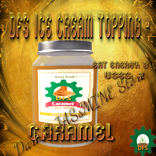 DFS Ice Cream Topping - Caramel (Actual Item)