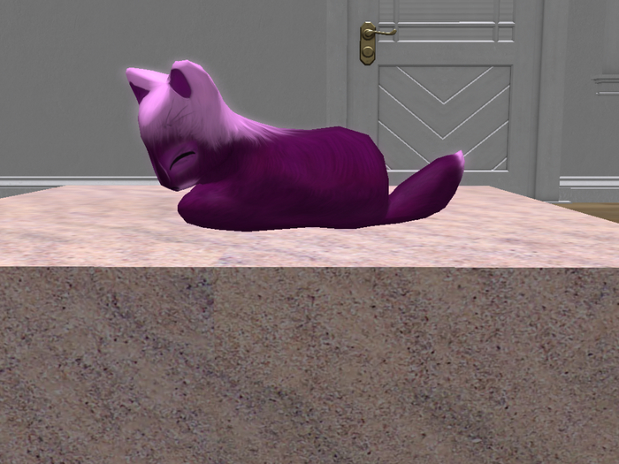 Stray Cats Kitten - Stray Kitty (M)