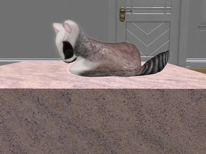 Stray Cats Kitten - Stray Kitty (M)