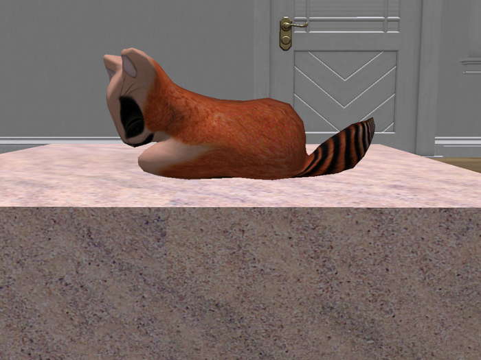 Stray Cats Kitten - Stray Kitty (M)