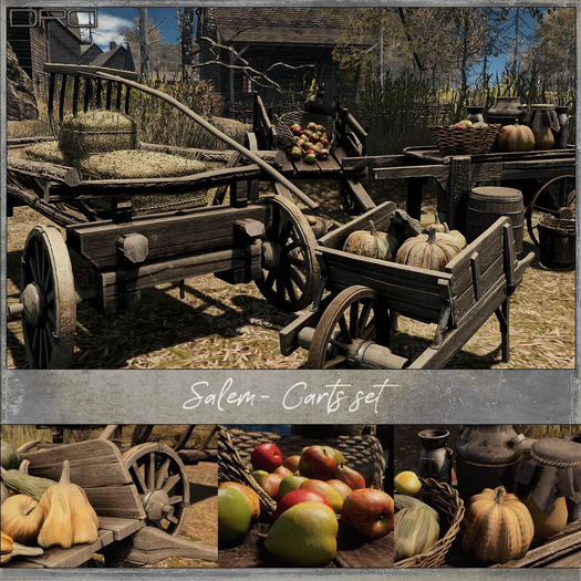 -DRD- Salem - Carts Set