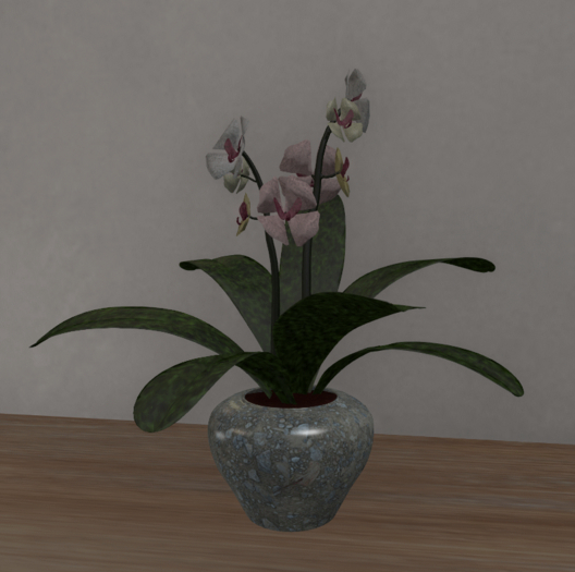 Vase mit Ochideen 2 Prim