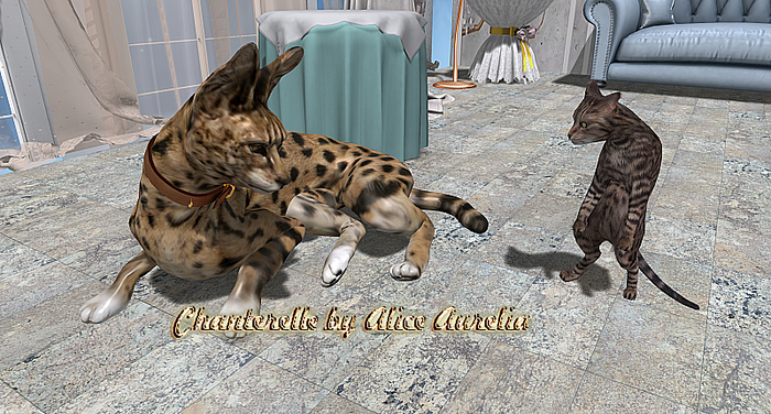 Second Life Marketplace - 18-Mutresse-Intimidating-Witty Cats