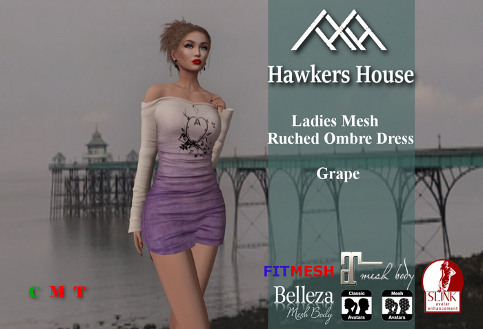 *HH* Ladies Mesh Ruched Ombre Dress Grape