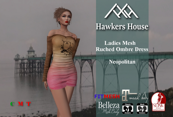 *HH* Ladies Mesh Ruched Ombre Dress Neopolitan