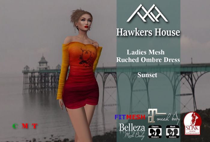*HH* Ladies Mesh Ruched Ombre Dress Sunset