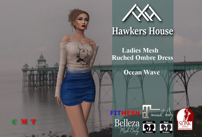 *HH* Ladies Mesh Ruched Ombre Dress Ocean Wave