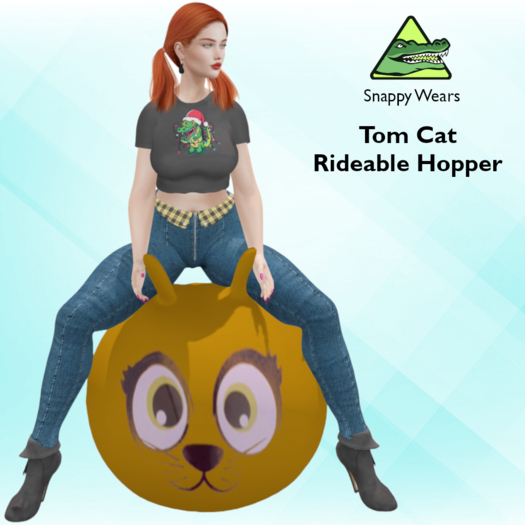 Snappy // Ginger Tom  Cat - Spacehopper 