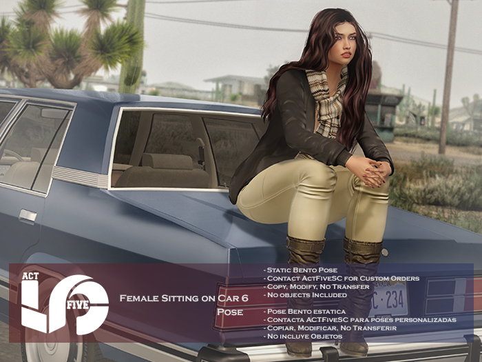 ACT5-1032-Female Sitting on Car 6 BOXED
