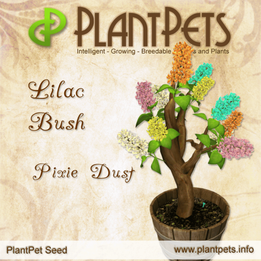 PlantPet Seed [Lilac Bush *Pixie Dust*]