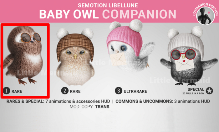 SEmotion Libellune Baby Owl Companion RARE 01