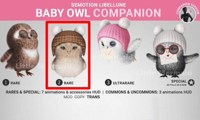 SEmotion Libellune Baby Owl Companion RARE 02