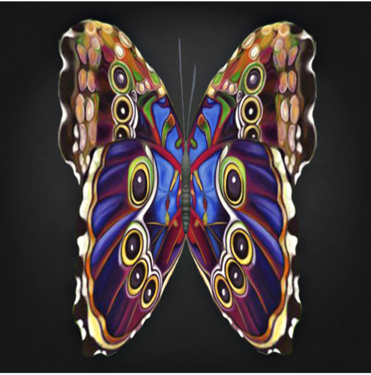 {Papillon} Fe/Mon/Nor/Fey/Butterfly/8thA Cocoon
