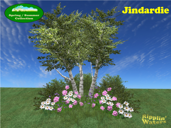 RW - Spring Summer birch trees with flowers *Jindardie* c/m