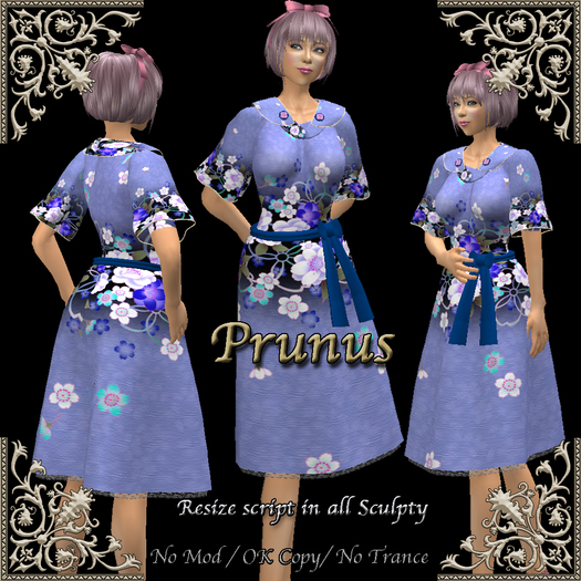 *Miroku*Prunus(BOX)_p