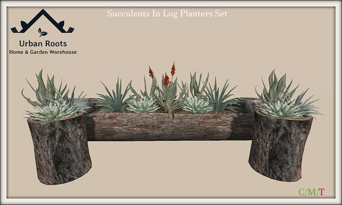 UR Desert Planters Set
