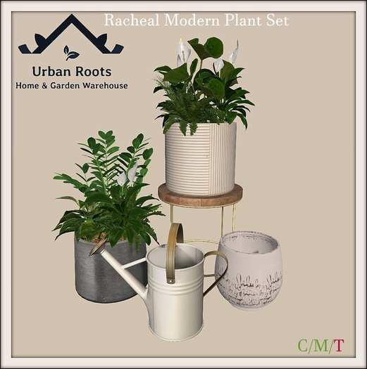 UR Racheal Modern Plant Set 
