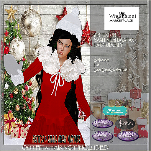 Winter Fun Hat/Hud ONLY (BOXED)