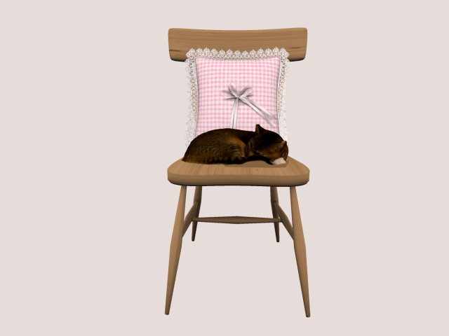 SLEEPING CAT ON CHAIR