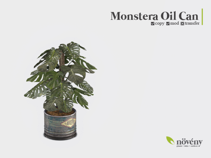 Noveny - Monstera Oil Can - AddMe