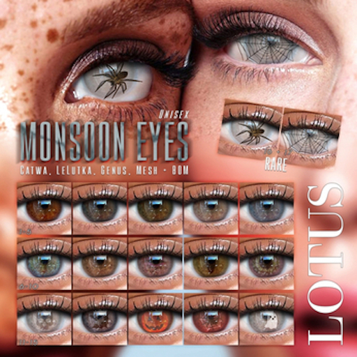 LOTUS. Monsoon Eyes 02 BOX