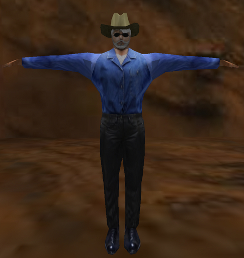 FP LP cowboy mesh avatar