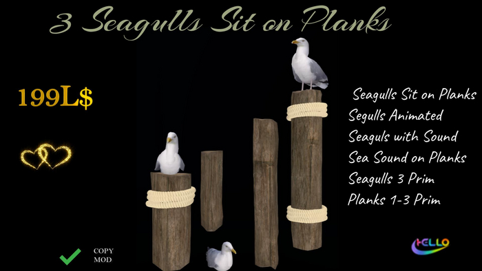 Seagulls Sit on Planks