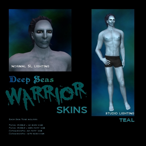 DS WARRIOR SKIN - TEAL