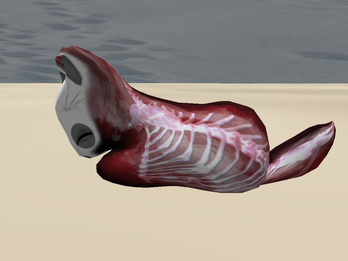 Stray Cats Kitten - Stray Kitty (M)