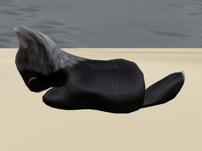 Stray Cats Kitten - Stray Kitty (M)