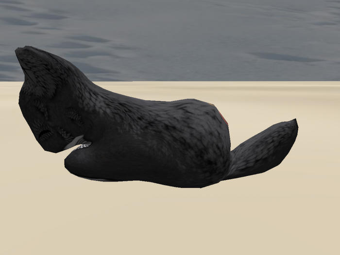 Stray Cats Kitten - Stray Kitty (M)