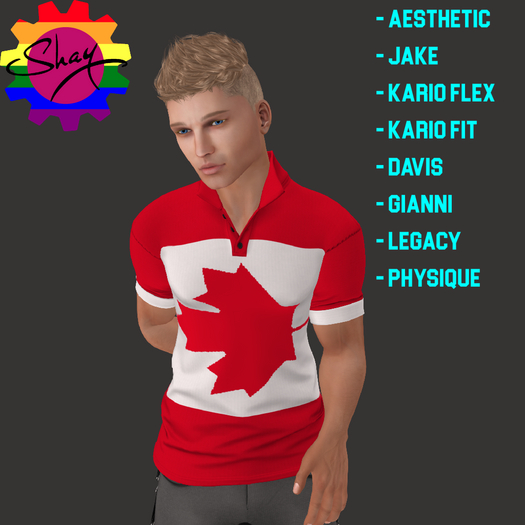 Canadian Flag Vertical Polo