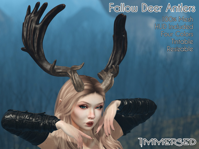 .:I:. Fallow Deer Antlers