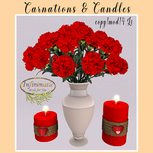 carnations & candles bagged