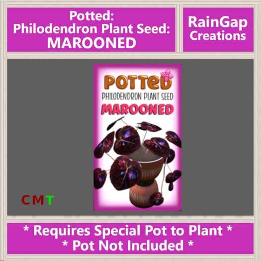 Potted: Philodendron Plant Seed: Marooned ACTUAL IITEM