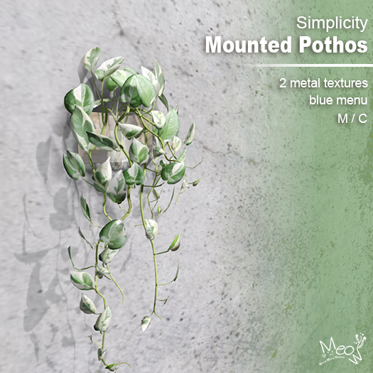 MMM-Mounted Plants-Pothos