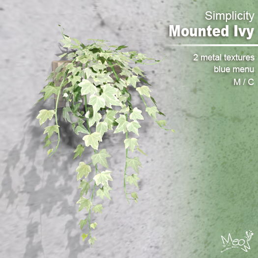 MMM-Mounted Plants-Ivy