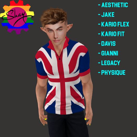 UK Flag Polo