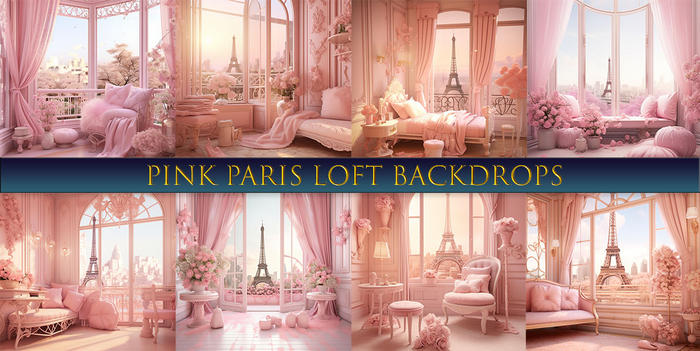 SATO - Pink Paris Loft Blogger backdrop w/ Bonus 2 Textures