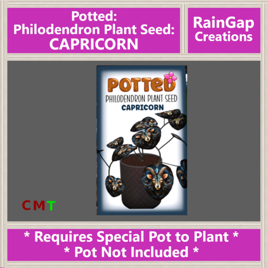 Potted: Philodendron Plant Seed: Capricorn ACTUAL ITEM