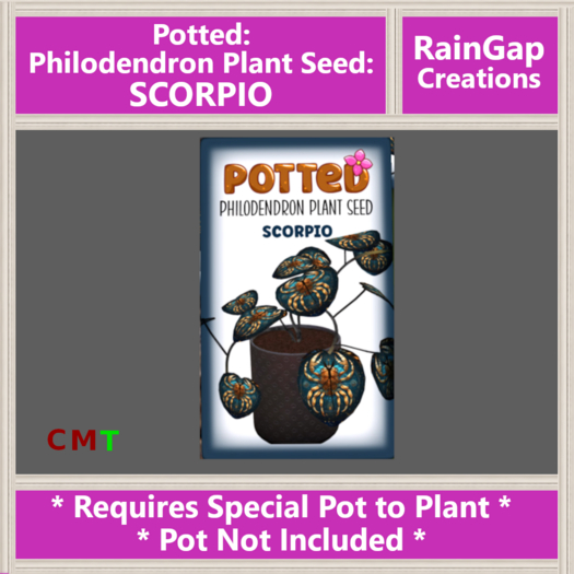 Potted: Philodendron Plant Seed: Scorpio ACTUAL ITEM