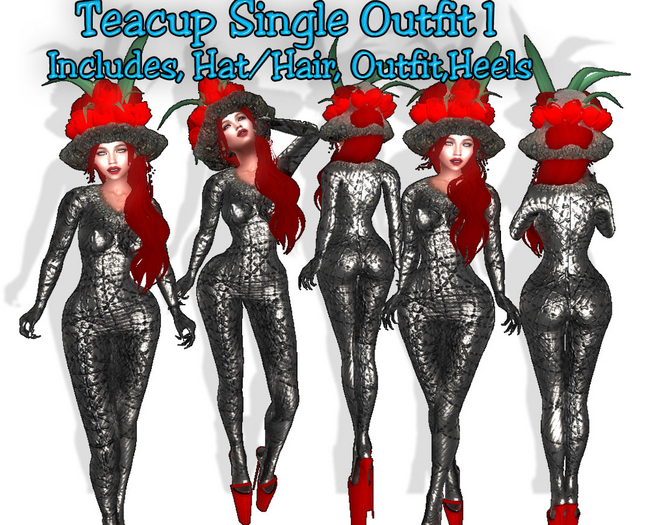 Teacup Fairy Single Outfit1