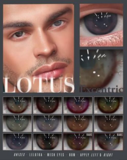 11. LOTUS. Excentric Eyes  [boxed] RARE