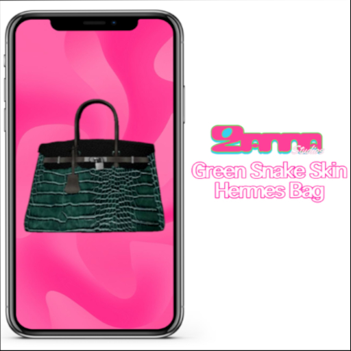 ZM Green SnakeSkin Hrmes Bag