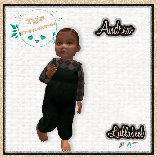 {TT} Andrew Overalls - Lullabeebs