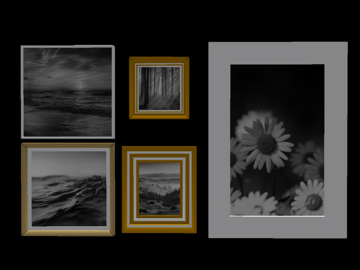 picture frame collection